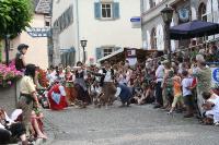 IMG_6377 (2) 